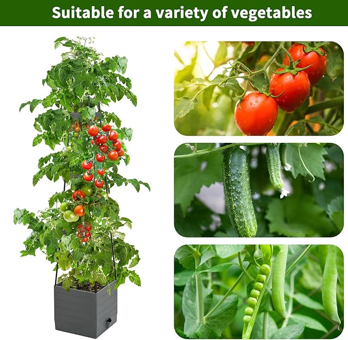 2 Pack Raised Garden Bed, Planter Boxes - Image 2