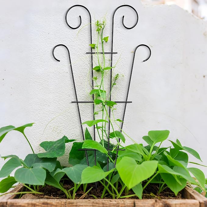 4 Pack 43'' Indoor Plant Trellis - Image 7