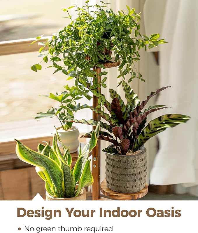 Bamworld 3 Tier Plant Stand Indoor, Corner Wood Plant Shelf - Image 4
