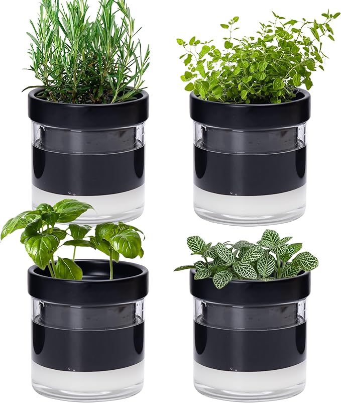 Phoenix Vine 4 Inch Self Watering Planter Pot by Phoenix+Vine