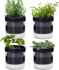 Phoenix Vine 4 Inch Self Watering Planter Pot by Phoenix+Vine
