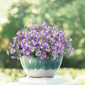 12 Bundles Artificial Pansy Flowers by Griine