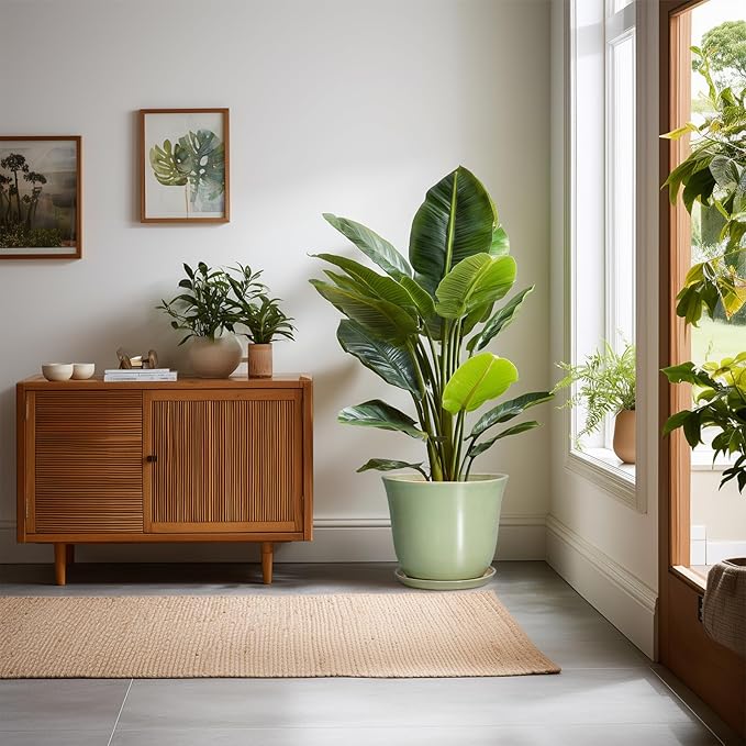 Ceramic Pots for Plants - Image 3