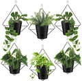 Baderke 6 Sets Wall Planters for Indoor Plants Hanging Wall Planter by Baderke