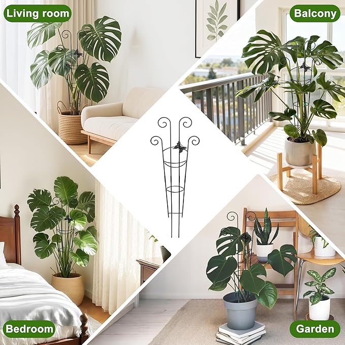 Coomin 32.6in Monstera Plant Support - Image 6