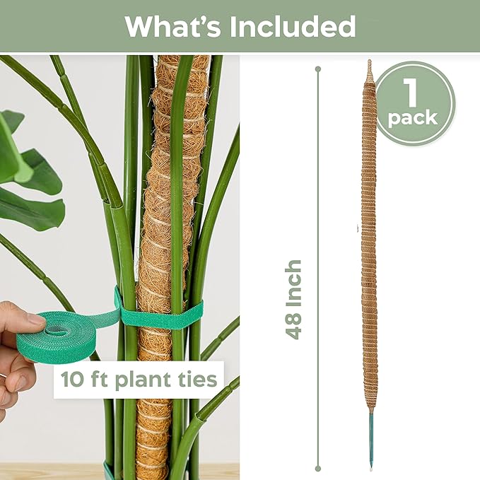 K-Brands 48'' Bendable Moss Pole Monstera Plant Support - Image 2