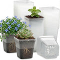 60 Pcs Clear Square Nursery Pots 4 Inch, Reusable Seedling Pots by RooTrimmer