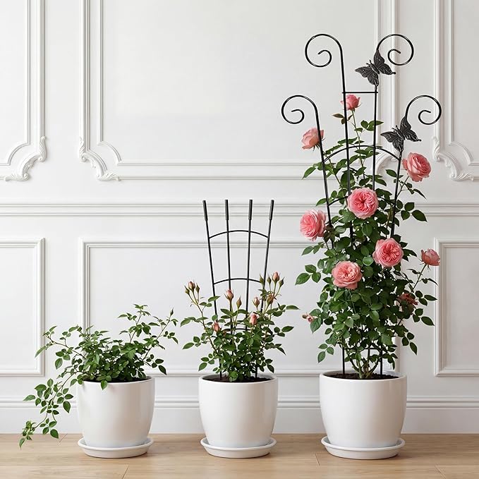 30'' Larger Plant Trellis Indoor, Expandable Metal Trellis - Image 4