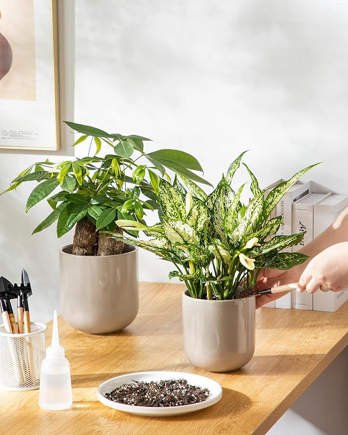 vancasso Ceramic Plant Pots, 4+5+6 inches, Planters - Image 8