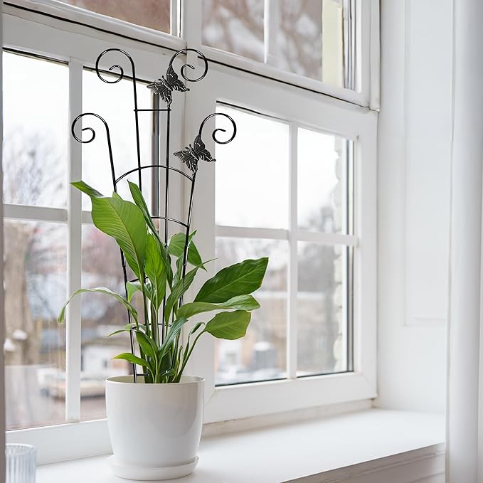COOMIN 30'' Monstera Plant Support Outdoor, Metal Expandable Plant Supports - Image 9