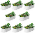 A ANLEOLIFE 8-Set 8X4X2 ft Galvanized Raised Garden Bed Kit, Oval Metal Deep by AAnleolife