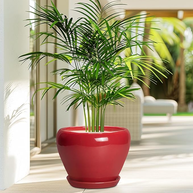 Ceramic Planter for Indoor Plants 8 Inch - Image 4
