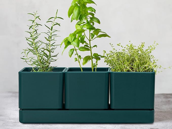D'vine Dev Herb Garden Planter Set, Plastic Plant Pots - Image 2