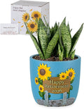 Retirement Gifts for Woman 2026: Happy Retirement Gifts for Women Nurse Teacher by Unknown