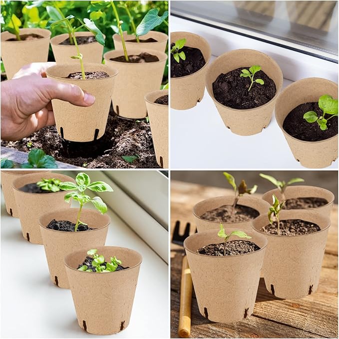 50PCS Peat Pots, 3.15Inch Seed Starting Pots - Image 6