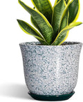 Ceramic Pots for Plants by SUNPOTFOR