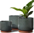 LE TAUCI Ceramic Plant Pots by LETAUCI