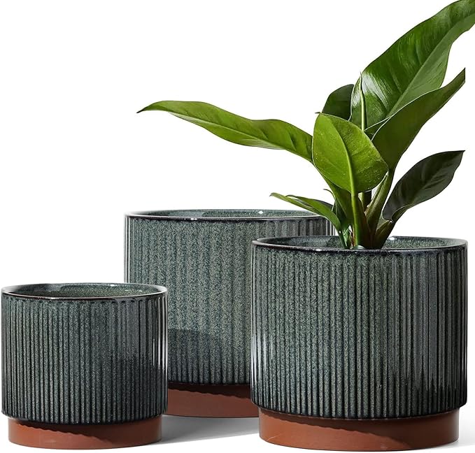 LE TAUCI Ceramic Plant Pots by LETAUCI