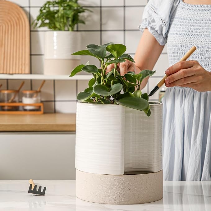Nihow Self Watering Plant Pot: 8 Inch Ceramic Planter - Image 5