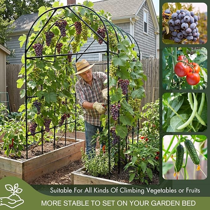 Garden Trellis Arch 7FT Tall – Plastic Coated Metal Arch Trellis - Image 5