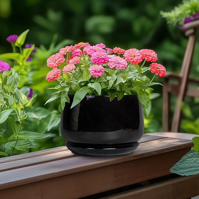 G EPGardening 6 Inch Planter - Image 4