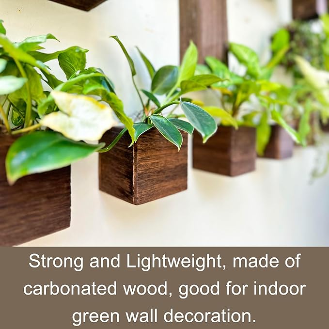 LaLaGreen Wood Planter Boxes for Plants Small Square Wall Mounted Planters for - Image 7