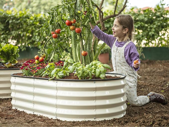 Plant & Plot Galvanized Raised Garden Beds Outdoor // 4×2×1 ft Planter Raised - Image 4