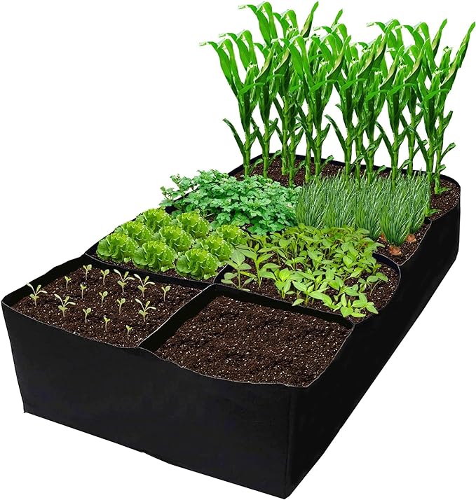 CJGQ Fabric Raised Garden Bed 6x3x1ft Garden Grow Bed Bags by CJGQ
