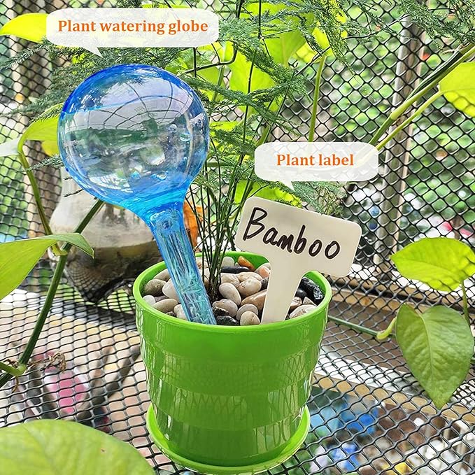 Large 12pcs Plant Watering Globes - Image 6