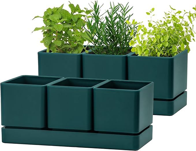 D'vine Dev Herb Garden Planter Set, Plastic Plant Pots by DvineDevPlanterPotsandStand