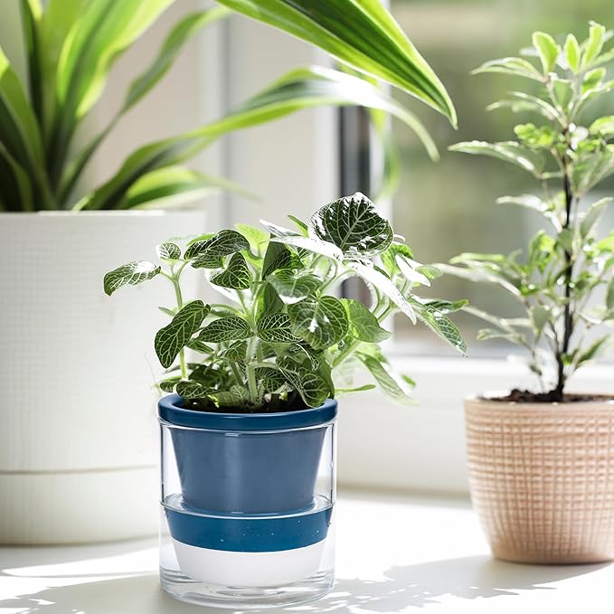 D'vine Dev 4 Inch Design Self Watering Planter - Image 7