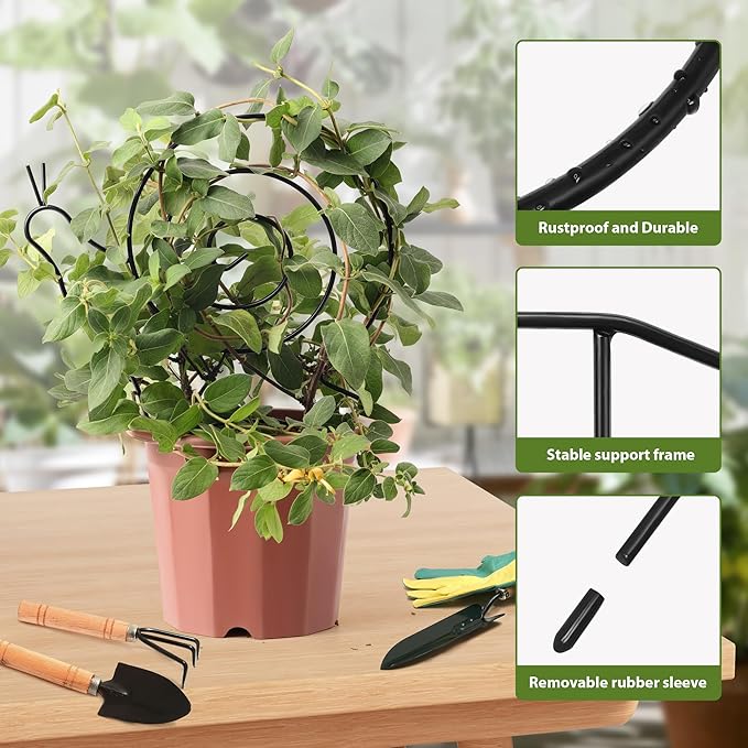 2 Pack Plant Trellis Indoor, Decorative Trellis - Image 4