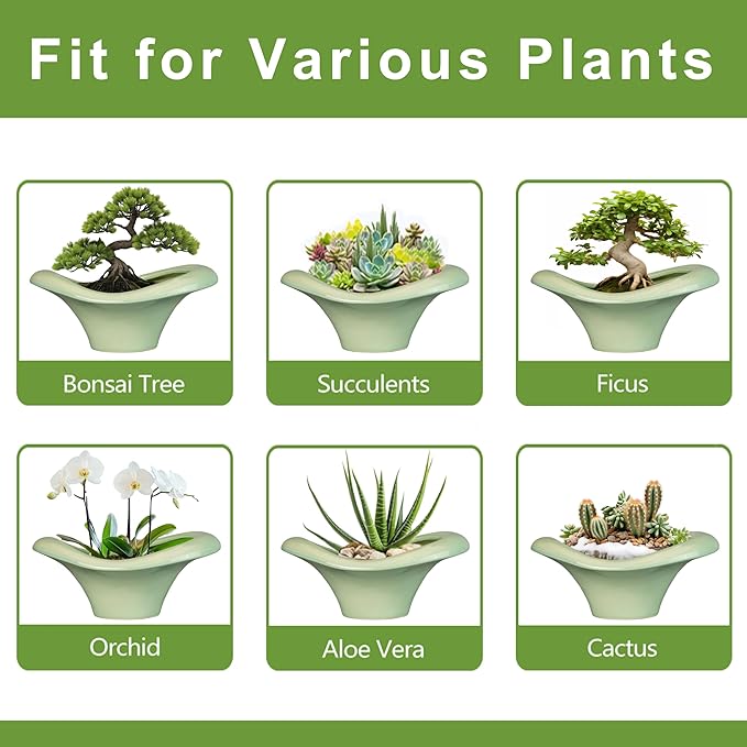 Ceramic Bonsai Pots - Image 7