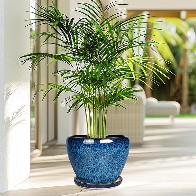 8 Inch Ceramic Plant Pot, Ceramic Planter Pot - Image 7