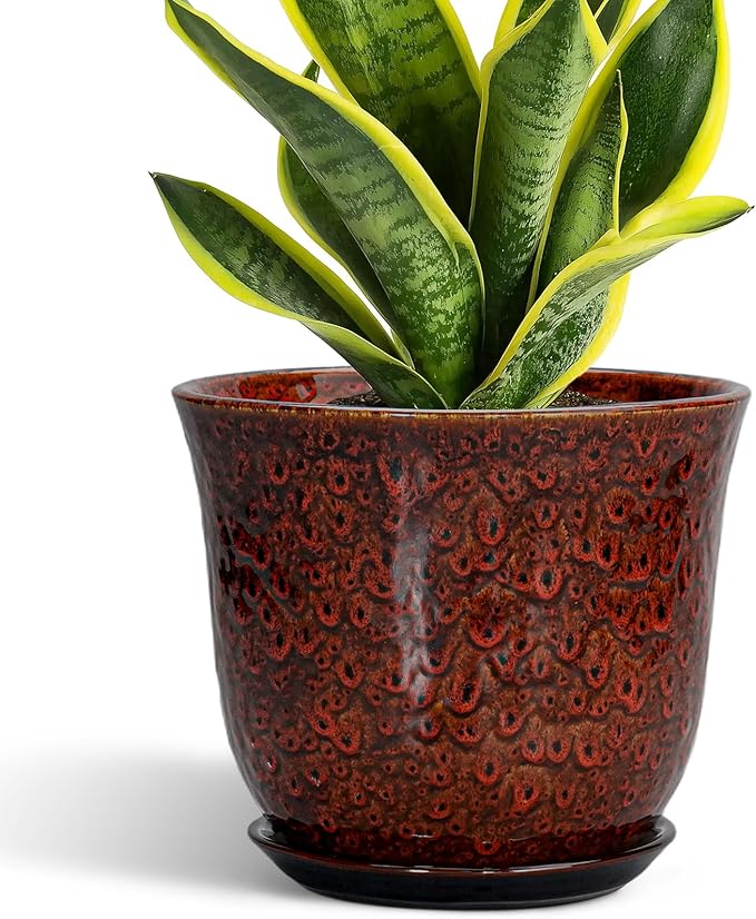 Ceramic Planter by SUNPOTFOR