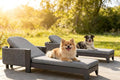 PURPLE LEAF Outdoor Daybed Sun Chaise Lounge Chairs by PURPLELEAF