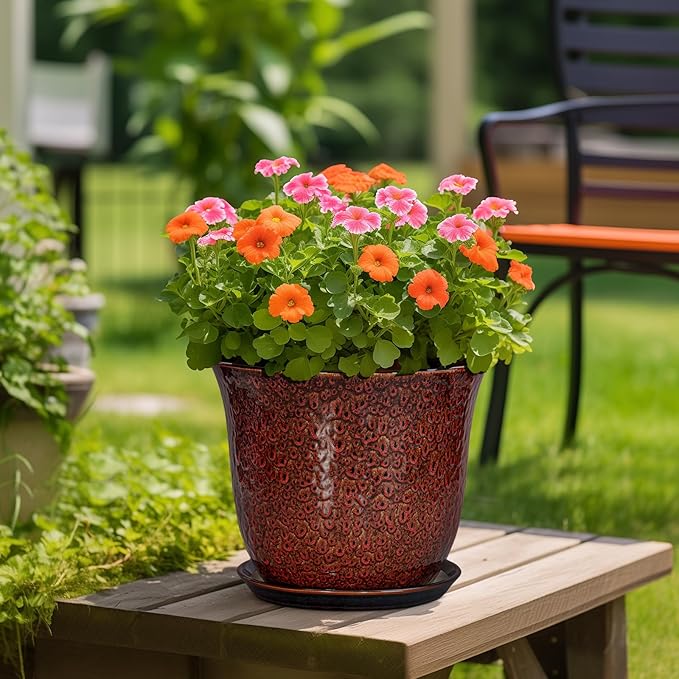 Ceramic Pots for Plants - Image 4