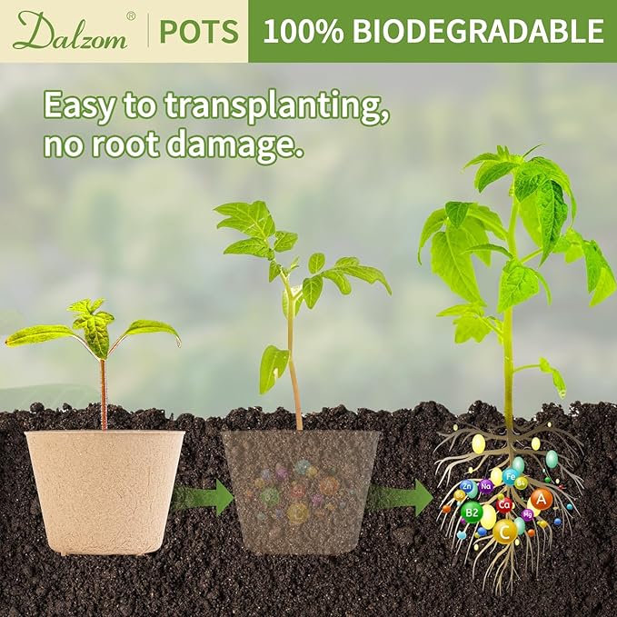 Dalzom® 60Pcs 4” Peat Pots - Image 5