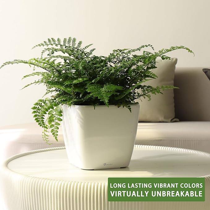 Dexceder 11x10 Self Watering Planter Indoor Outdoor, Inner Mat Design, - Image 6