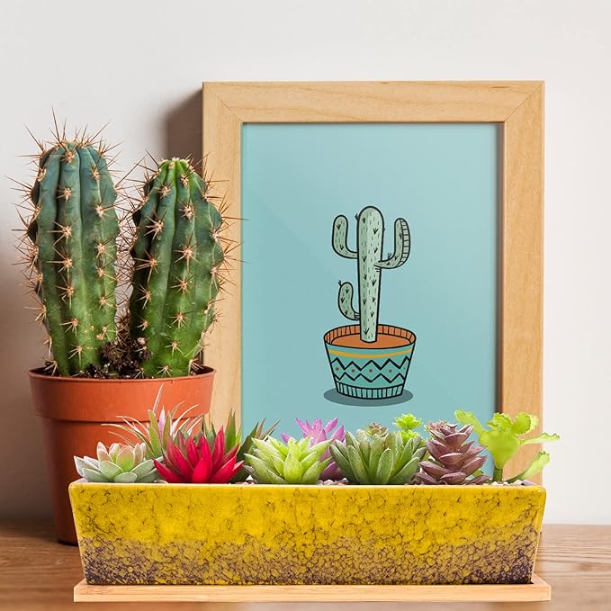 Succulent Pots - Large Succulent Planter Pots - Image 5
