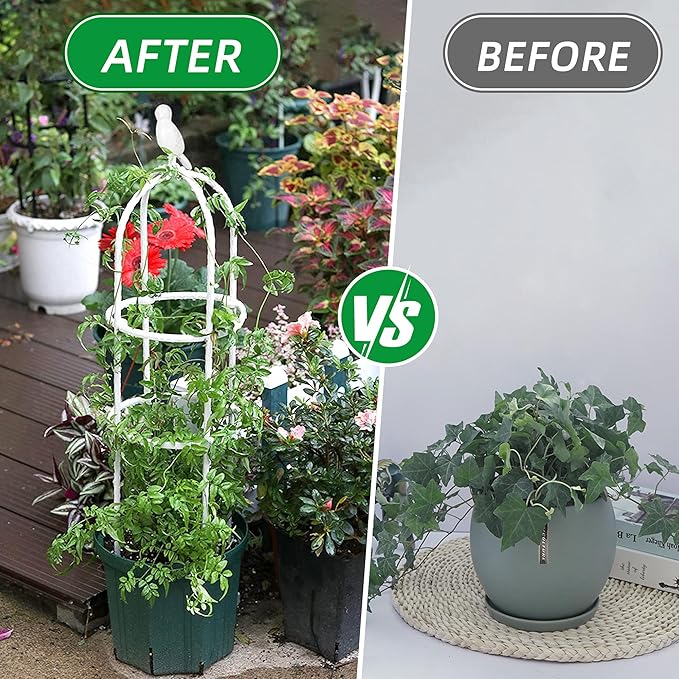 Garden Trellis for Climbing Plants, Rustproof Metal Pipe - Image 6