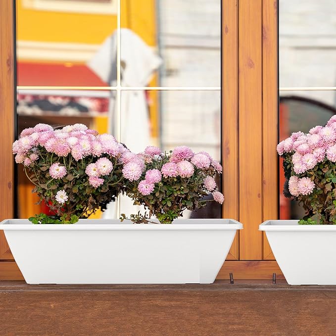 8 Pack 24 Inch Window Planter Box - Image 7