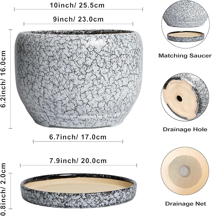 SQOWL Ceramic Planters - Image 3