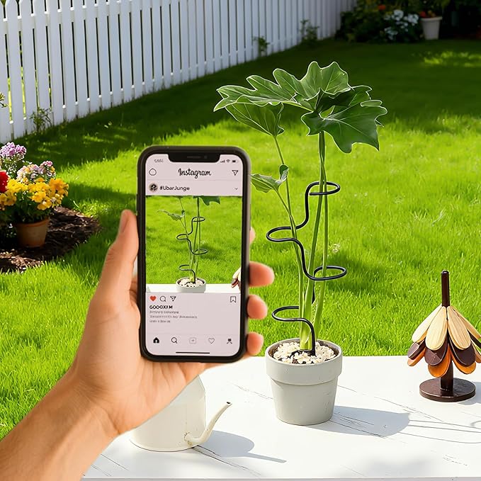 3PCS Indoor Plant Support Stakes - Image 7