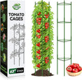 Halatool 2 Pack Tomato Cages for Garden, Garden Stakes Tomato Trellis for Pots by HALATOOL