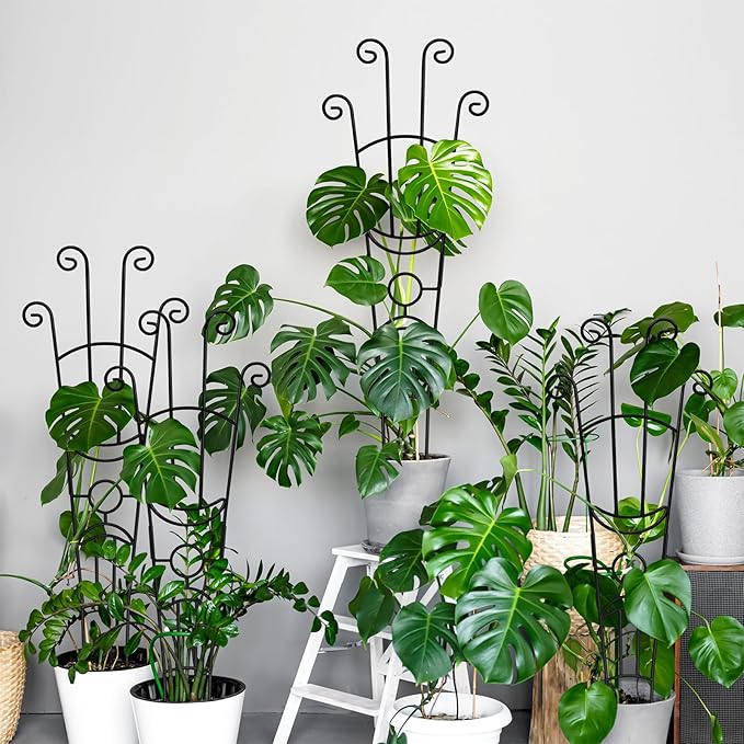 32.6in Monstera Plant Support Stakes - Image 9