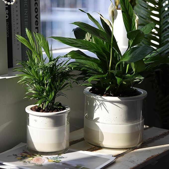 Phoenix Vine 6 Inch 4 Inch Self Watering Planter Pots, Design White Terracotta - Image 5