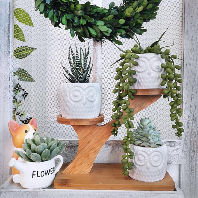 3pcs Owl Succulent Pots with 3 Tier Bamboo Saucers Stand Holder - Image 4
