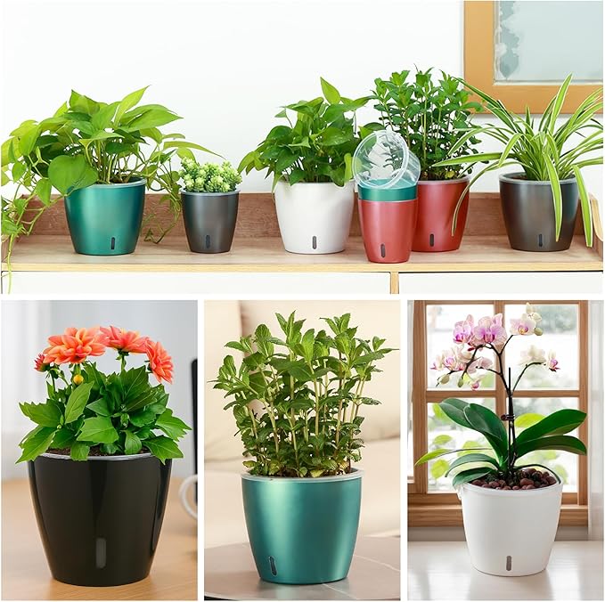 Self Watering Pots for Indoor Plants, Small African Violet Pots - Image 6