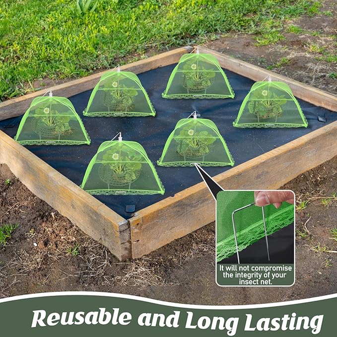 6 Sets Strawberry Plant Support - Image 4